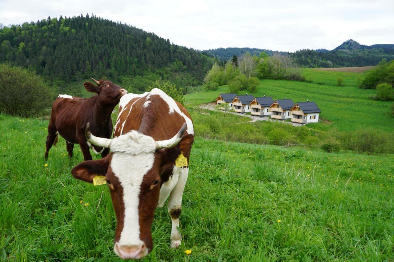 Rekreacna Usadlost Pieninka Lesnica Buitenkant foto