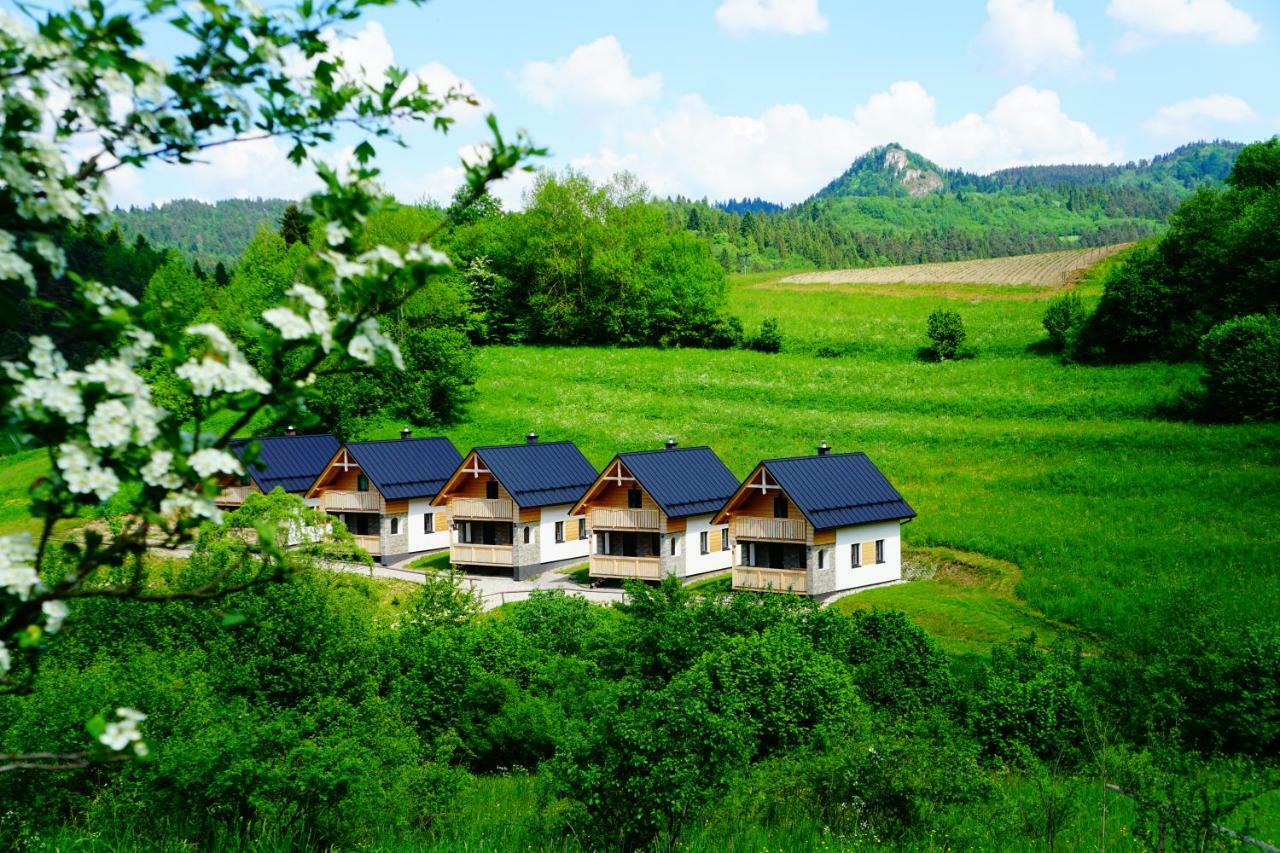 Rekreacna Usadlost Pieninka Lesnica Buitenkant foto