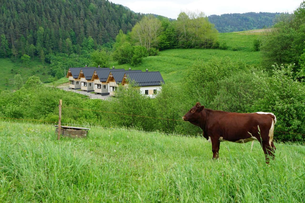 Rekreacna Usadlost Pieninka Lesnica Buitenkant foto