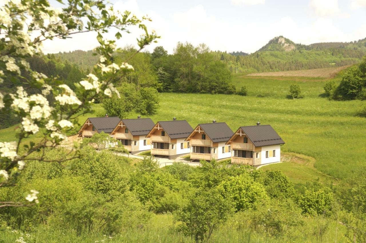 Rekreacna Usadlost Pieninka Lesnica Buitenkant foto