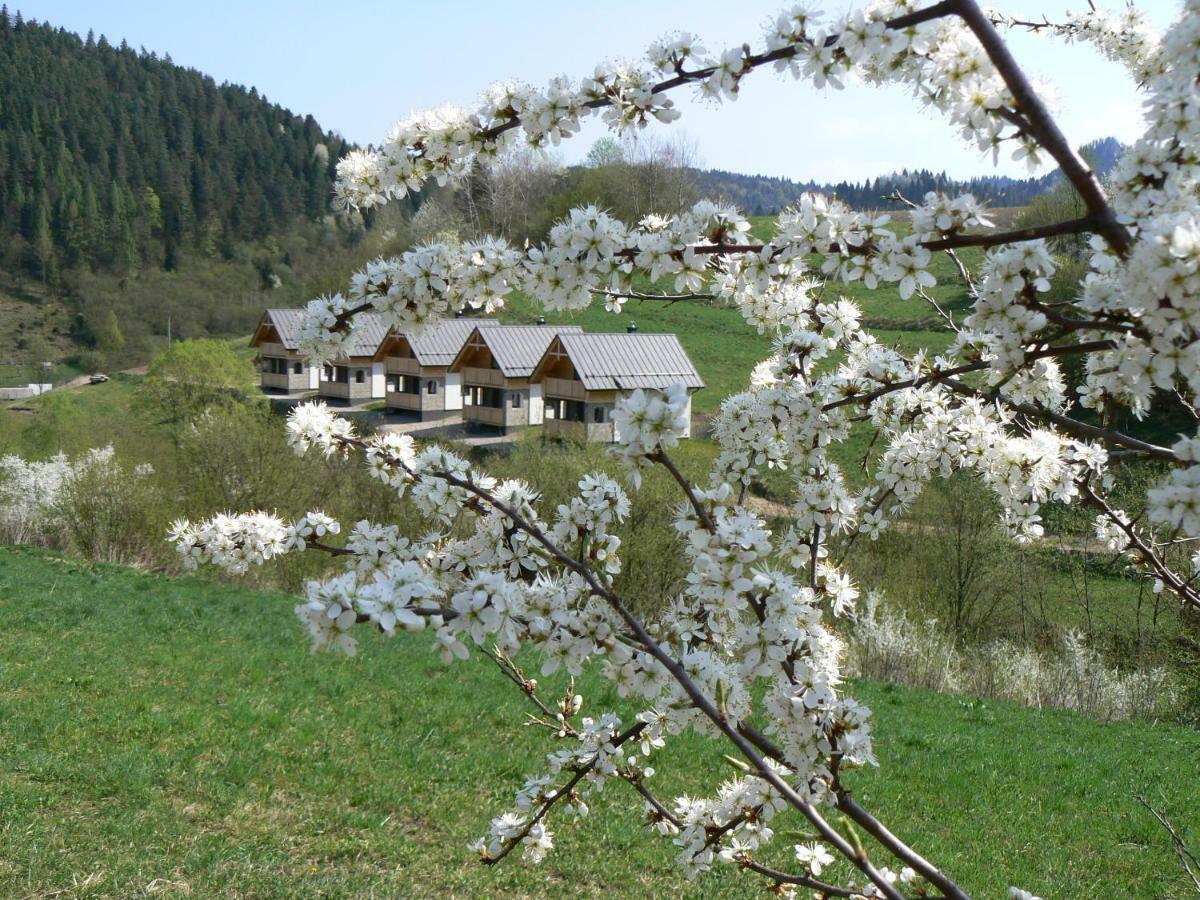 Rekreacna Usadlost Pieninka Lesnica Buitenkant foto